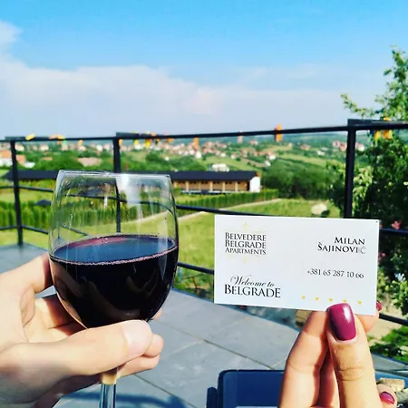 Kalemegdan Park & Zoo - Center Appartamento